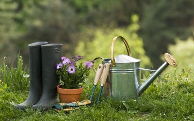 W jaki sposób efektywnie stworzyć ogród? Szczegółowy przewodnik dla miłośników zieleni